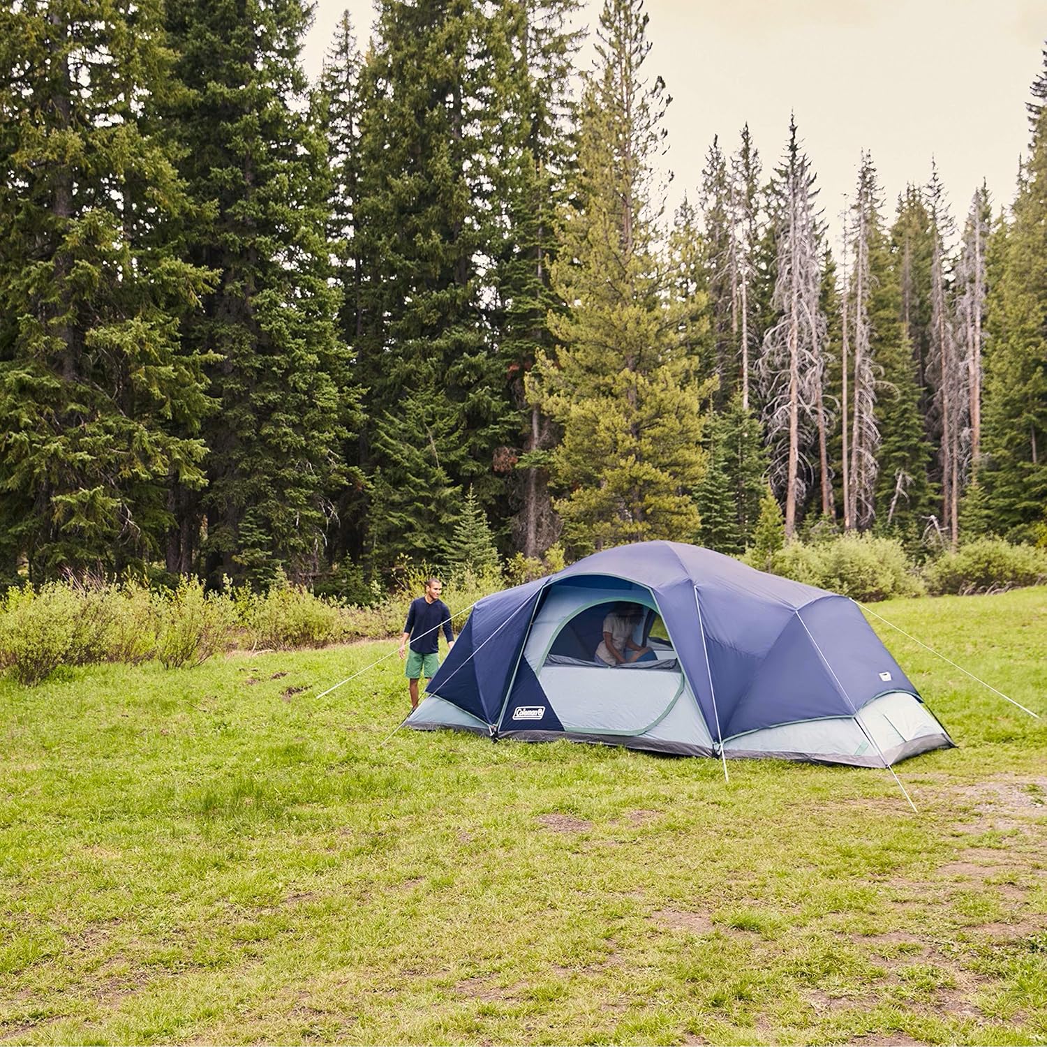 Coleman Skydome XL Family Camping Tent, 8/10/12 Person Dome Tent with 5 Minute Setup, Includes Rainfly, Carry Bag, Storage Pockets, Ventilation, and Weatherproof Liner, Blue Nights - Image 8